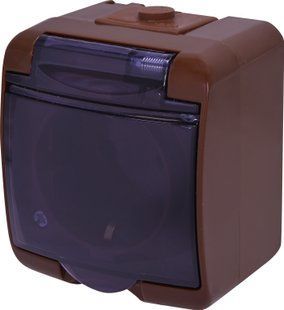 Розетка 1-на з з/к Schuko RHE-1sd-KR (коричн./прозора кришка, IP54) 4668051 фото